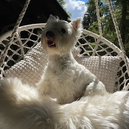 شاليه Chalet Latky Látky