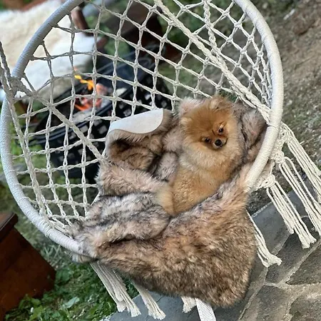 Chalet Latky シャレー